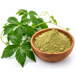 Ekstrakt z gynostemmy w proszku – Gynostemma pentaphyllum 1 kg